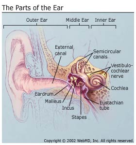ear infection health issues