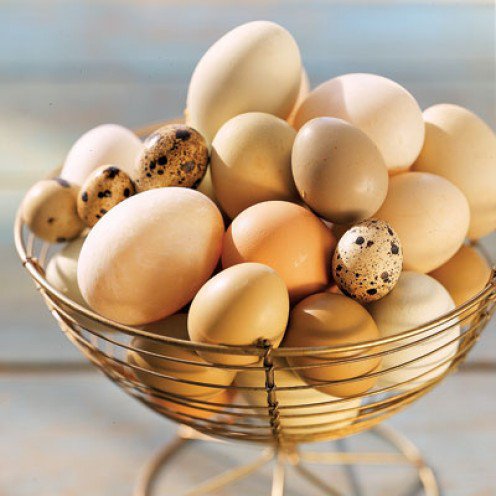 top 10 weight loss food- eggs